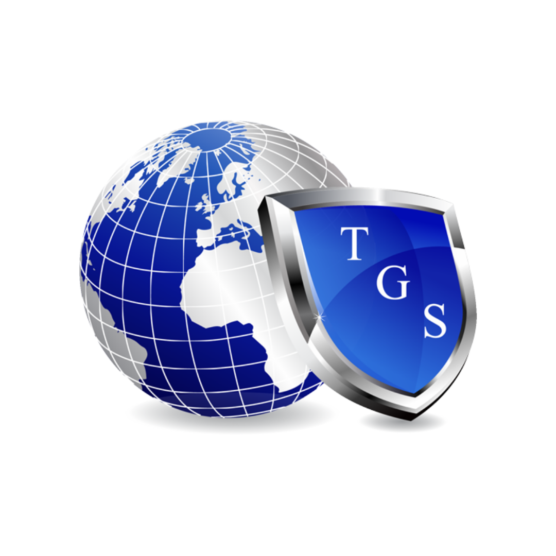 Avatar for Triton Global Services